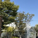 베르 | [전북/순창] 엄마랑 가기 좋은 식물원 정원 대형카페 추천 후기 <베르자르당>