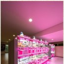 극동스포랜드 이미지