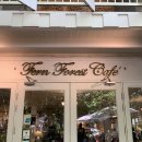 [치앙마이 한달살기] 자연속 힐링 카페 펀포레스트 Fern Forest Cafe
