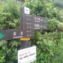 지리산내음 이미지