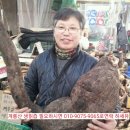 계룡산건강원