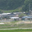 피끝마을 이미지