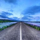 봄을 그리며 이미지