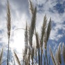 송현공원 이미지