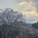 동명길 이미지