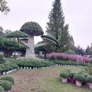 유성온천 이미지