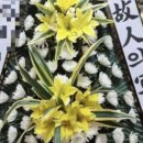 천지컴퍼니 이미지