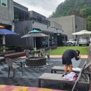 남이섬설1 이미지