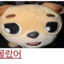 포에버영 - 마포구 | 포에버영