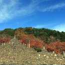 삼성궁 이미지