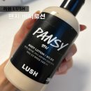 팬지 코리아 | [러쉬] 매장 향기 바디로션 '팬지' 내돈내산 후기