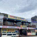 대박이네수지물회 삼척 물회 전문점 쏠비치근처 식당 내돈내산 후기