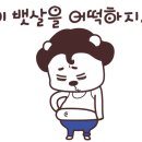 케이핏 - 의령군 의병로16길 21 | 케이핏