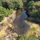 동백동산 이미지