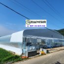 알파크린 이미지