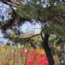 종합경기장 탁구장 이미지