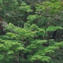 신흥사 약수터 이미지