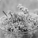 글로벌광택 이미지