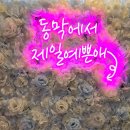 동막여관 이미지