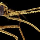 CW-1536-01 이미지