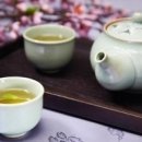 빈센트 핏 이미지