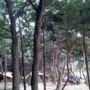명성캠핑장 이미지