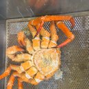 대명중앙시장 | 수원농수산물시장 수원킹크랩 대명수산