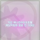 웨스턴 호텔 | 익산 웨스턴라이프호텔 웨딩박람회 후기 및 리뷰