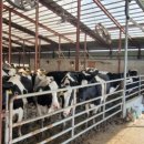 학연목장 이미지