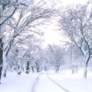 (뉴에이지) [Windham Hill - A Winter's Solstice VI] Michael Hedges - Ursa Major 이미지
