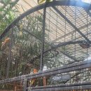 대기목장 이미지