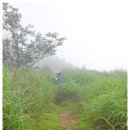 내도마을 이미지