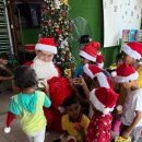 Spreading the Seeds of Love this Christmas 이미지