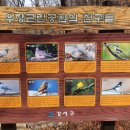 강서청소년회관 화장실 이미지