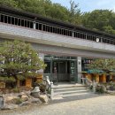 풍원식당 | 경주 안강 맛집 '풍원토종오리닭' 숨겨진 현지인 맛집 추천