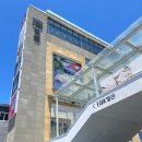 칠암바다장어 이미지