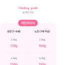 저단22 | 강아지 화식추천 도거박스 화식 종류22가지(시그니쳐,저단저지,알러지)