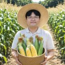 대상농수산 | 아직도 아무거나 드세요? 역대급 당도 자랑하는 대한민국농수산 초당옥수수 솔직 후기