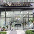 NOBLESSE.PET | 송파구 강아지 분양 노블레스펫 가는 길 정보