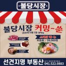 브랜드의 가치와 가능성