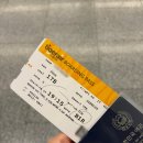 세븐일레븐인천연수샘말점 | 타이거에어 대만 타이완 후기 feat. 체크인 방법 터미널 좌석 간격 기내수화물 규정 지연