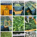 전용택내과의원 이미지