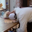 본미미 민박 이미지