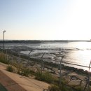 오이도종합어시장 이미지