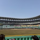 ssg 랜더스 필드 3루 홈런 커플존 시야 엽기떡볶이 커빙 컵빙수 요기요배달존 안내