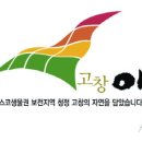 주식회사 오디야 Daum카페