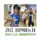 강릉 아기와 가기좋은 실내 생태체험박물관 자연아놀자 먹이주기체험