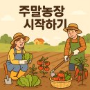 선은농장 | 2025 주말농장 완벽 가이드 작물추천부터 임대 가격, 준비물까지 총정리