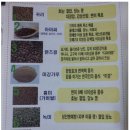 경중쌀집 이미지