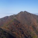 못재 이미지